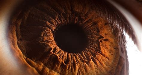 Your Beautiful Eyes Amazing Close Up Photos Of Human Eyes By Suren