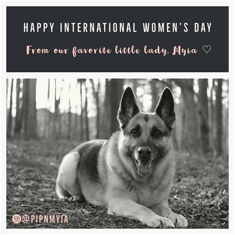International reggae day is a worldwide festival held at jamaica on july 1 of every year. Happy International Women's Day 💕 . . . #germanshepherd # ...