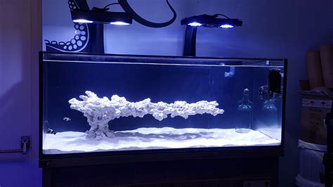 Floating Reef Aquascape For Saltwater Aquarium