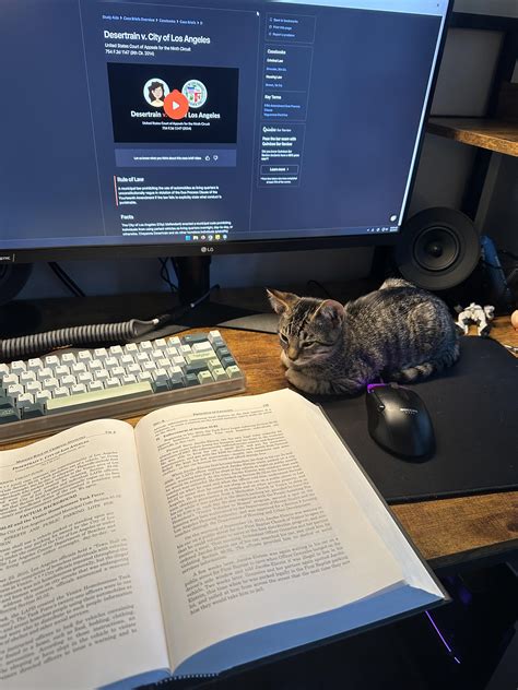 Study buddy 🥰 : r/LawSchool