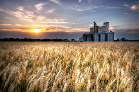 Kansas Wheat Field Photo By Lane Pearman Kansas Photos Scenic Kansas
