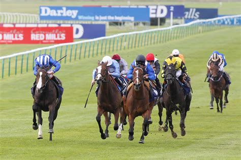 Newmarket Racecard Results And Tv Schedule Todays Tips Runners
