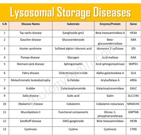What Are Lysosomal Storage Diseases Biology Brain