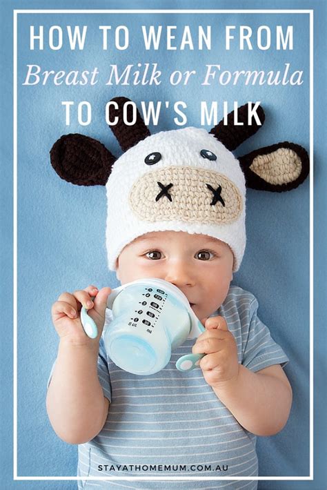 Weaning From Breast Milk Or Formula To Cows Milk Stay At Home Mum