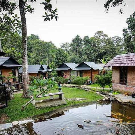 Are you looking for suitable hotels in hulu langat? Suara Rimba - Berkawan Dengan Haiwan Di Percutian Menawan ...