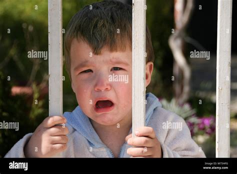 Little Boy Crying Behind The Gate Stock Photo Alamy