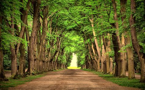Green Road Wallpapers Top Free Green Road Backgrounds Wallpaperaccess