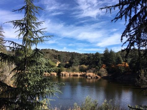 Franklin Canyon Park Is The Most Beautiful Park In Southern California