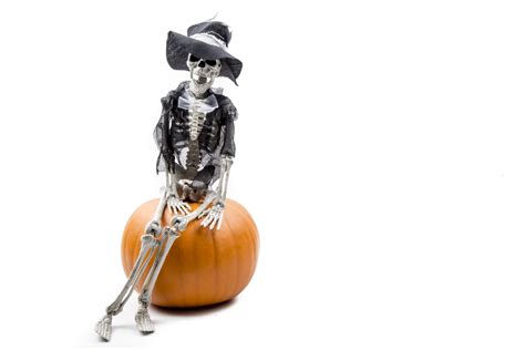 Pumpkin And Skeleton Free Stock Photo Public Domain Pictures