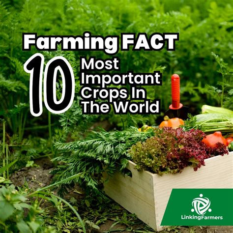 Linking Farmers Farmingfact These Are The 10 Most