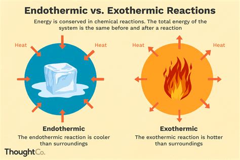 Endothermic And Exothermic Chemical Reactions