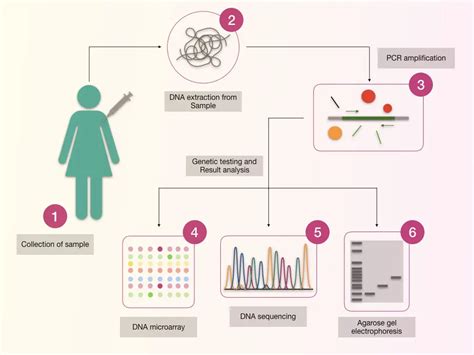 Cancer Genetic Testing What Is It How It S Done Genetic Education