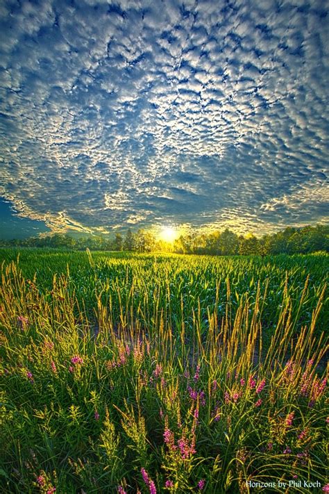 The Sun Shines Through Clouds Over A Green Field With Wildflowers In Bloom