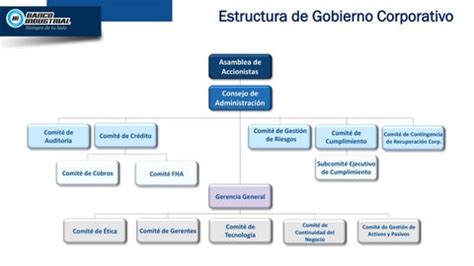Estructura Organizacional BI Público by Corporación BI Issuu