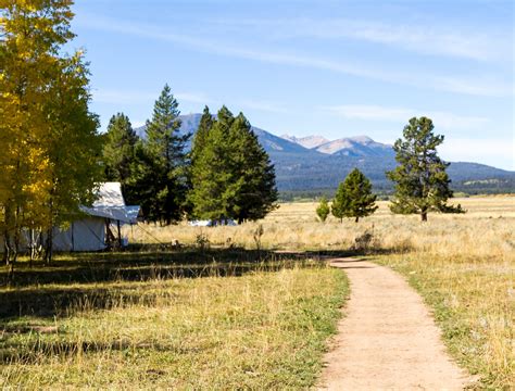 Home - Tammah - Camping Without Compromise