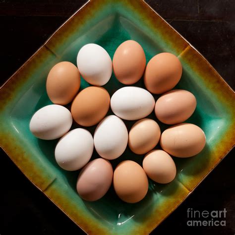 Fresh Organic Eggs Photograph By Jared Shomo