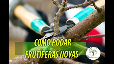 Tabela De Poda De árvores Frutíferas