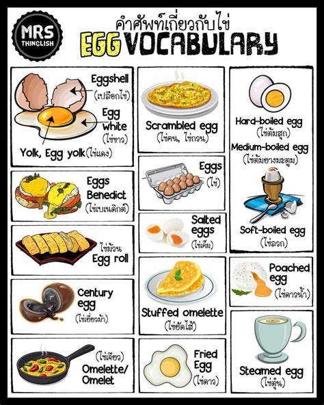 Egg Vocabulary คำศัพท์เกี่ยวกับไข่ Mrsthinglish English อังกฤษ