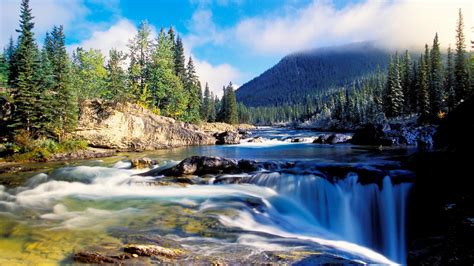Download Mountain River At Summer Forest Landscape Wallpaper By