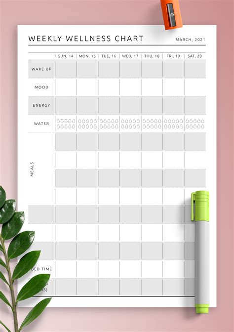 Download Printable Weekly Wellness Chart Template Pdf