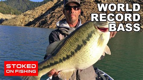 Largest Bass In The World