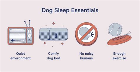 How Many Hours Do Dogs Sleep Casper Blog