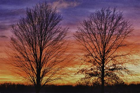 Two Trees Sunset Photograph By Deb Henman Fine Art America