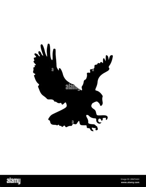 Flying Eagle Silhouette White Background Stock Photo Alamy