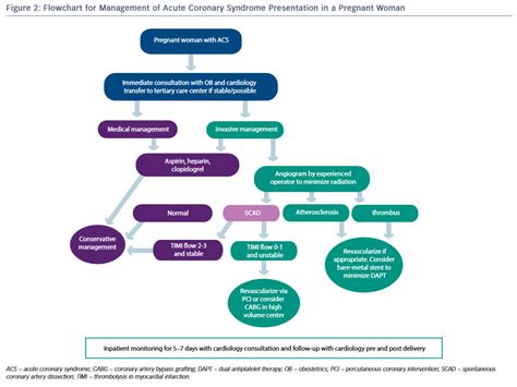 Flowchart For Pregnancy