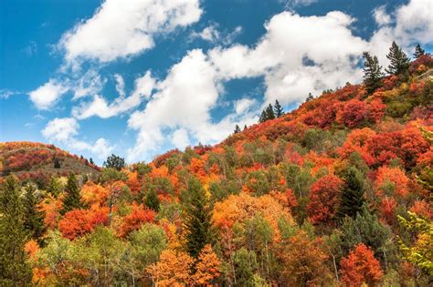 3 Vibrant Fall Days In Eastern Idahos Yellowstone Teton Territory