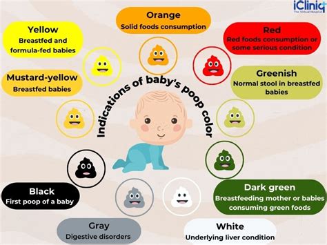 Baby Poo Guide Colour Chart And What It Means Baby Mother 46 Off