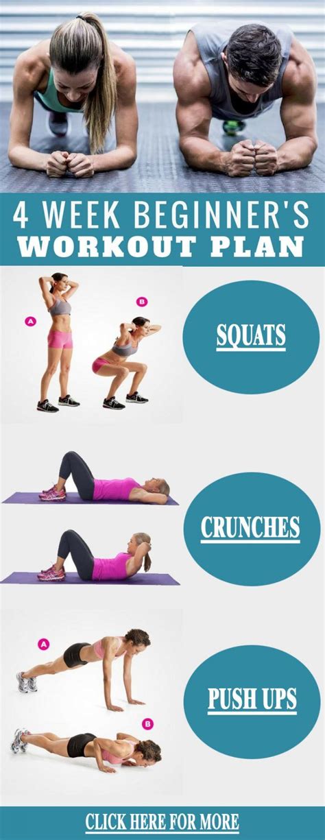 6 Day Muscle Building Workout Plan For Beginners Female At Home For Gym