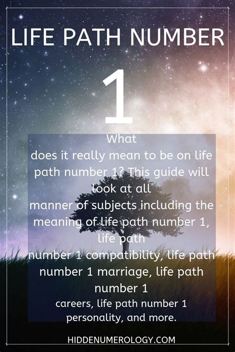 The Meaning Of Life Path Number 1 Numerology Life Path Life Path