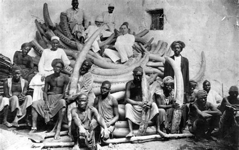 Video Ivory Trade And Slave Trade Linked Throughout History National