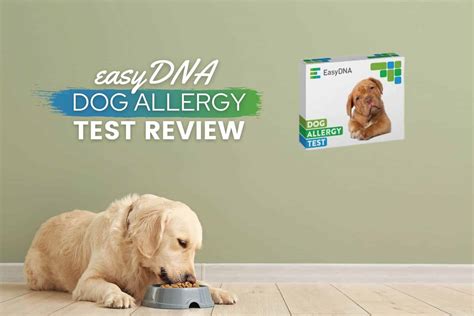 Easydna Dog Allergy Test Review 2022 Discover Dog Allergies Results