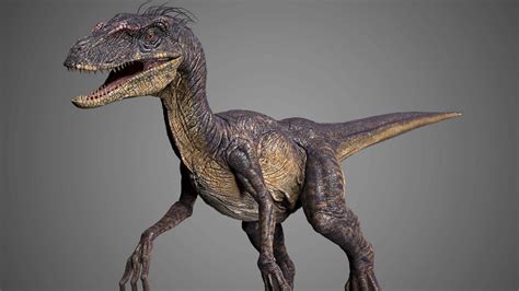Velociraptor 3d Model By Astil