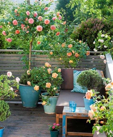 Small Rose Garden Best Inspiration Ideas That You Want In 2020