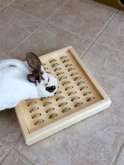 Bunny Rabbit Sisal Digging Box Etsy Uk