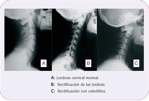 Simple Science: How to Make a Volcano with Kids