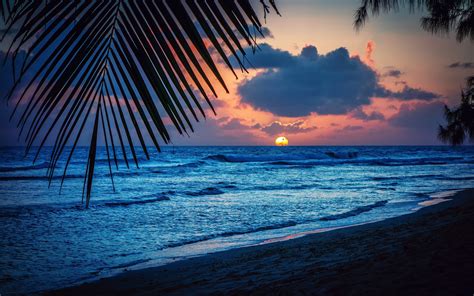 Playa Noche Puesta Del Sol Nubes Hojas El Mar Caribe Fondos De