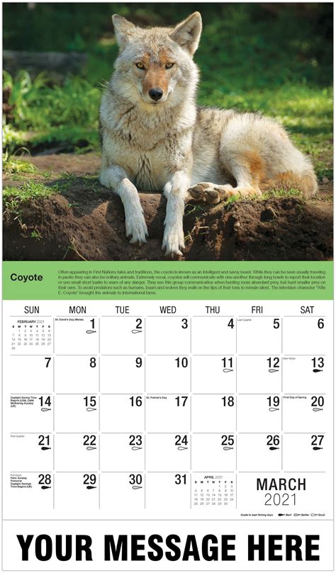 2021 Promo Wall Calendar North American Wildlife Calendar