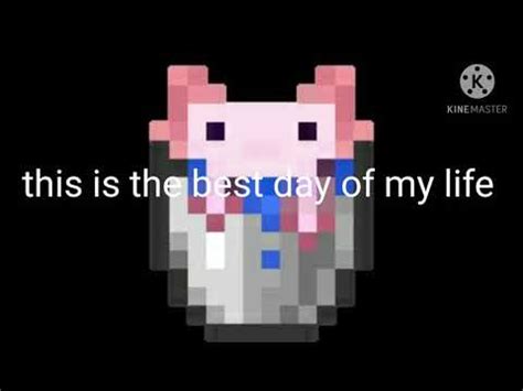 An axolotl is an aquatic passive mob that attacks most other underwater mobs. AXOLOTLS IN MINECRAFT. - YouTube