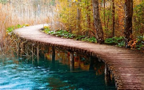 A Wooden Path Bridge Wallpaper Hd Nature Wallpapers