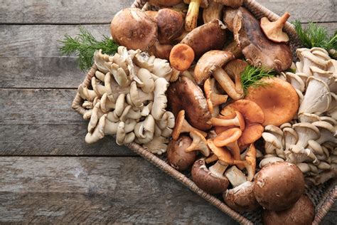 39 Different Types Of Edible Mushrooms With Pictures Clean Green