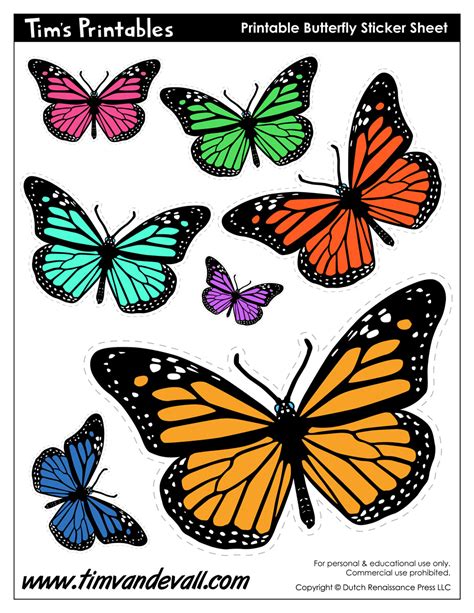 Butterfly Templates Printable Doctemplates