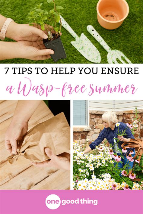 How to prevent a hornet infestation. 7 Easy Tips To Help You Get Rid Of Wasps • One Good Thing ...