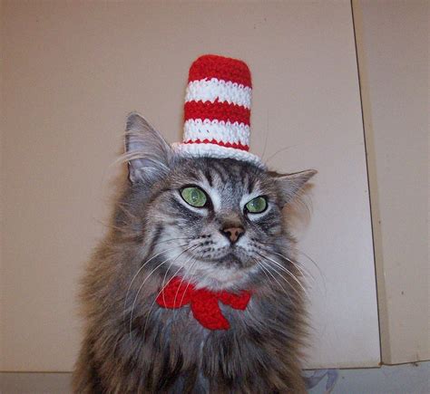 Cat In The Hat Hat For A Cat Crocheted Dr Seuss By Thecatshat