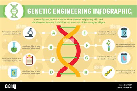 Genetic Engineering Infographic Flat Illustration Of Genetic