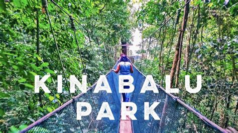 The park is a two hour drive away. Du lịch Malaysia-Khám phá Kota Kinabalu 4N3D 11,99 triệu