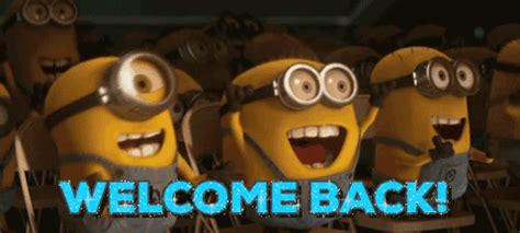 Discover and share welcome back funny quotes. Welcome Back GIFs - Find & Share on GIPHY